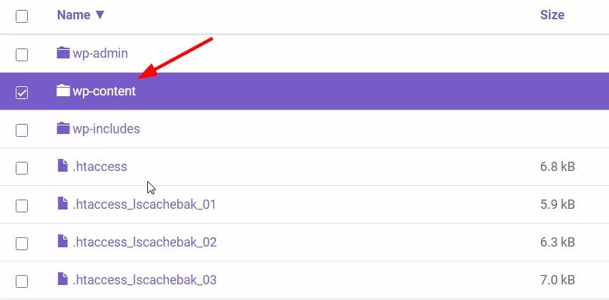 How to Hide Theme Name in WordPress?