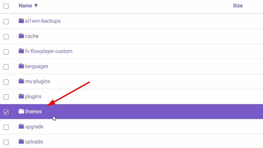 How to Hide Theme Name in WordPress?